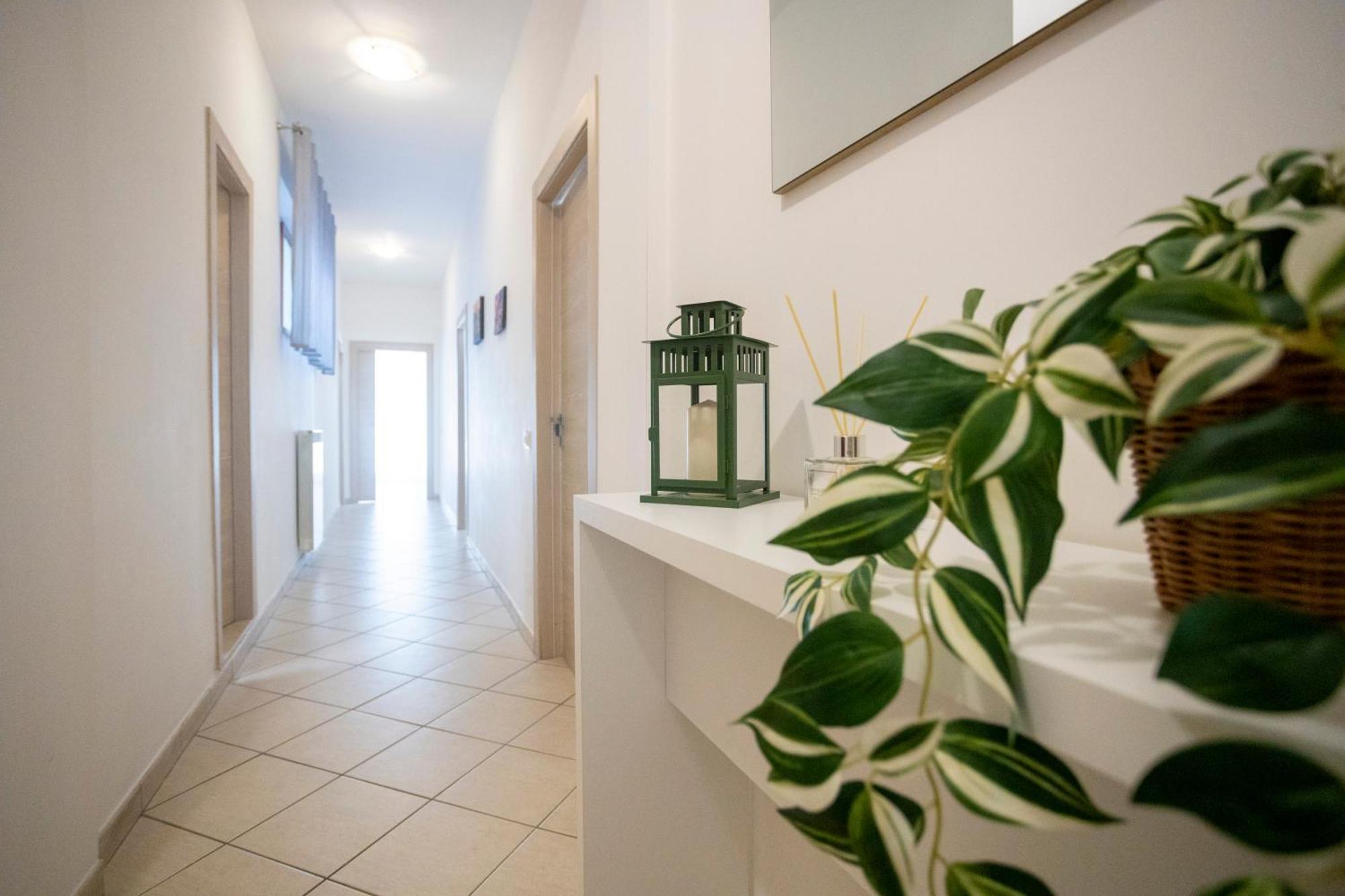 Casa Mia Sorrento公寓 外观 照片